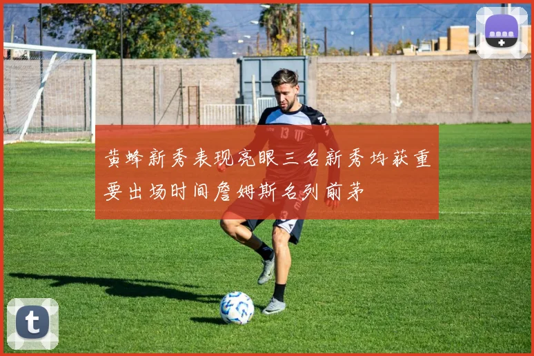 黄蜂新秀表现亮眼三名新秀均获重要出场时间詹姆斯名列前茅