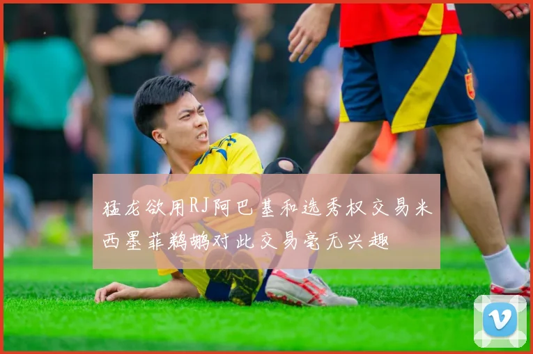 猛龙欲用RJ阿巴基和选秀权交易米西墨菲鹈鹕对此交易毫无兴趣