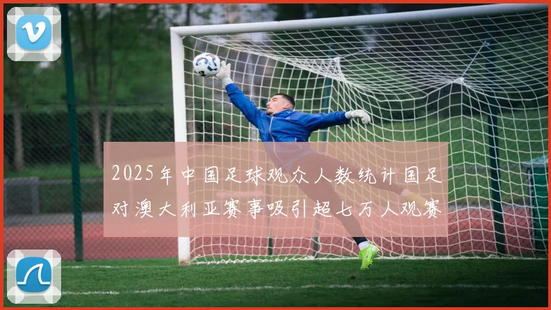 2025年中国足球观众人数统计国足对澳大利亚赛事吸引超七万人观赛