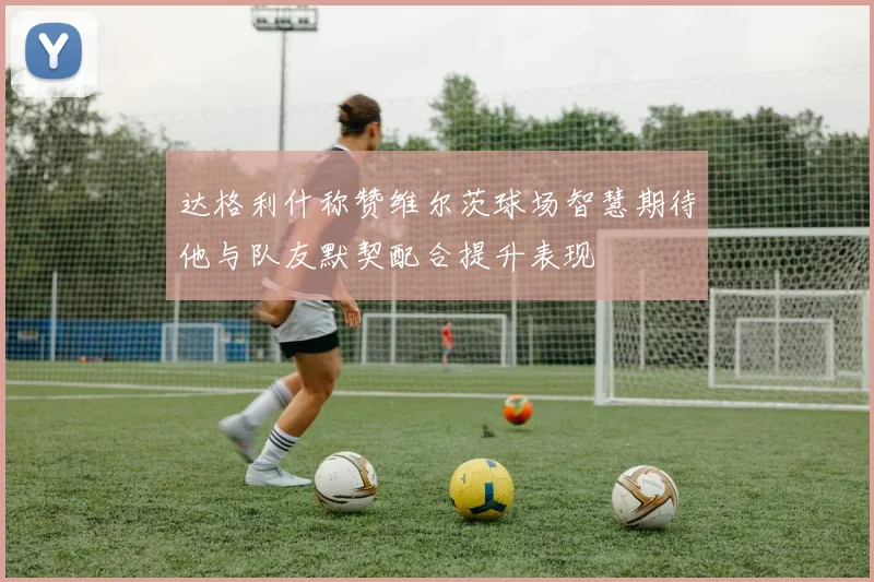 达格利什称赞维尔茨球场智慧期待他与队友默契配合提升表现