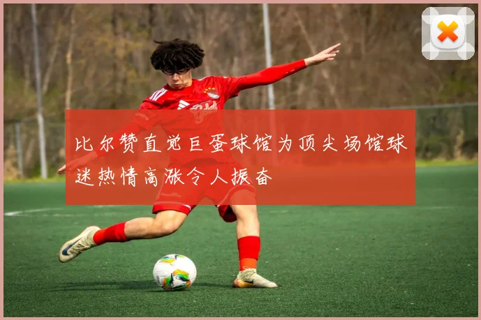 比尔赞直觉巨蛋球馆为顶尖场馆球迷热情高涨令人振奋