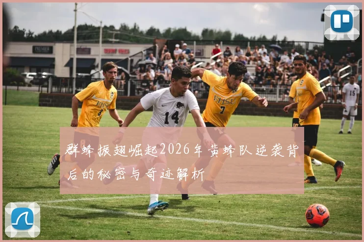 群蜂振翅崛起2026年黄蜂队逆袭背后的秘密与奇迹解析