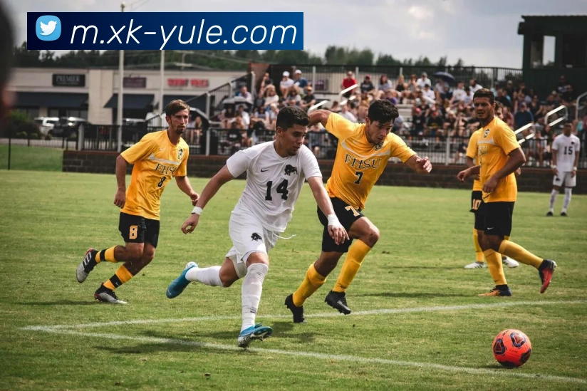 多媒体互动体验